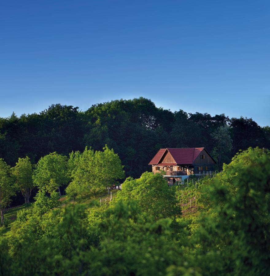 Green Silence Bedenica Kültér fotó